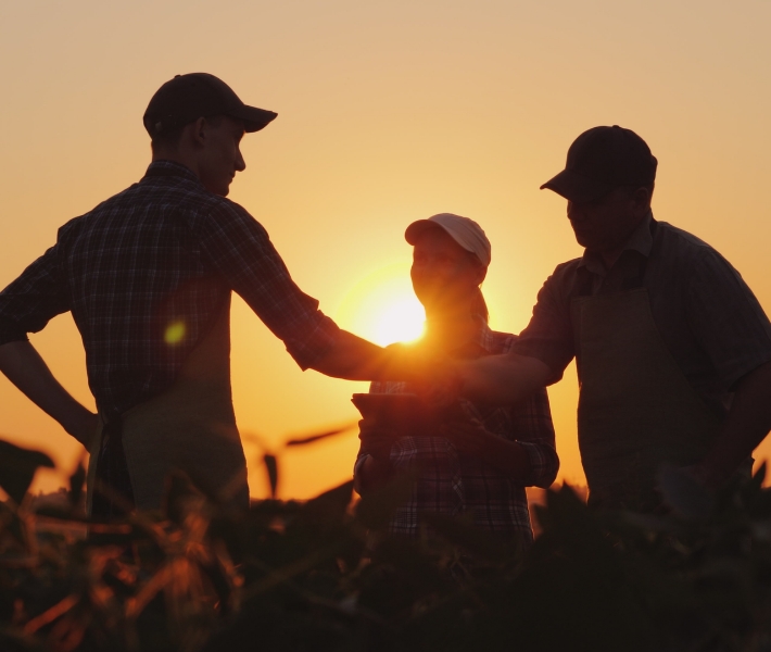 Fledbag Farmers after work in sunset